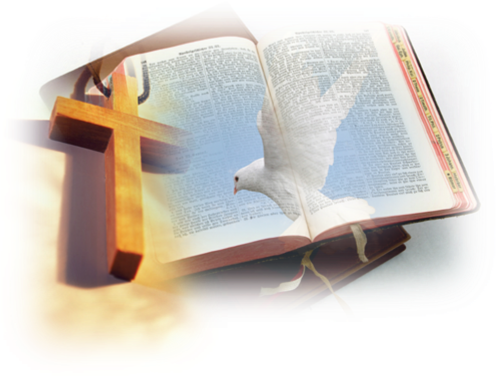 Bible And Cross And Dove Png