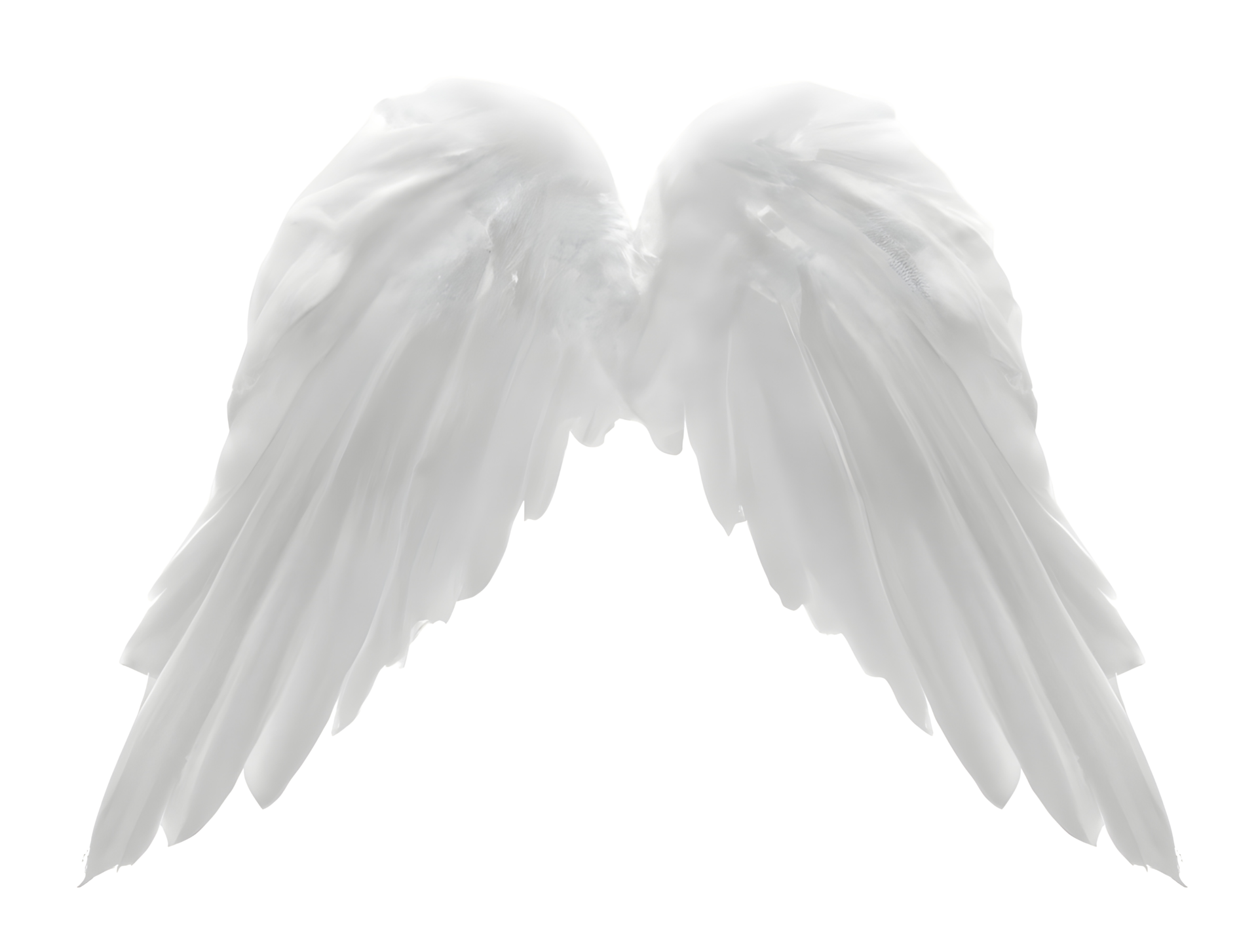 Angel Wings Transparent Png Free Unlimited Png Download   Angel Wings Transparent Png Free Unlimited Png Download 35216 