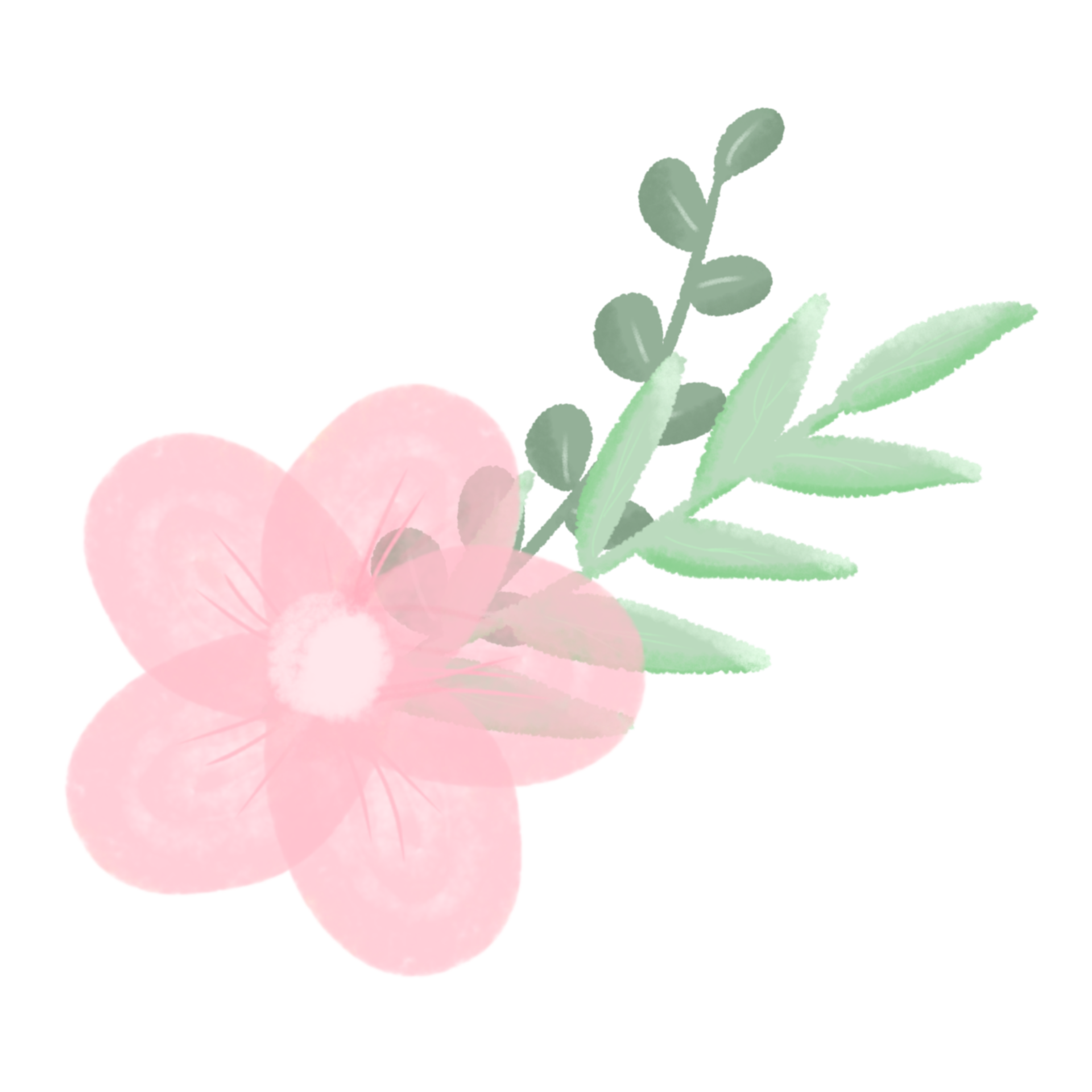 Flowers aesthetic png - Download Free Png Images