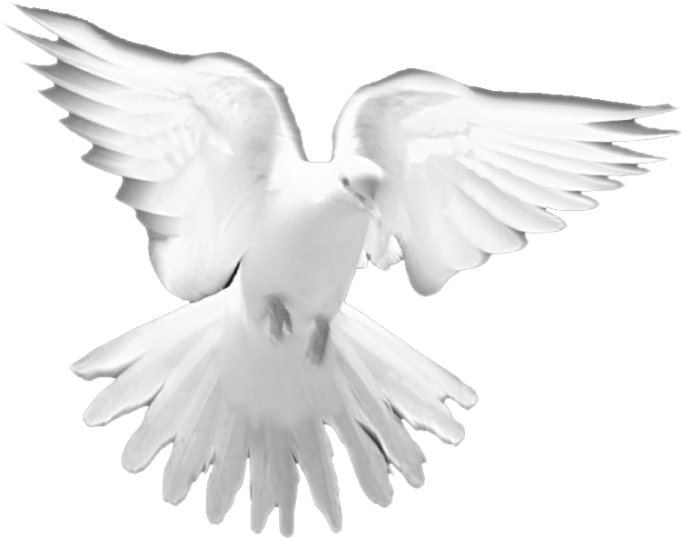 Holy spirit activate png free unlimited png download