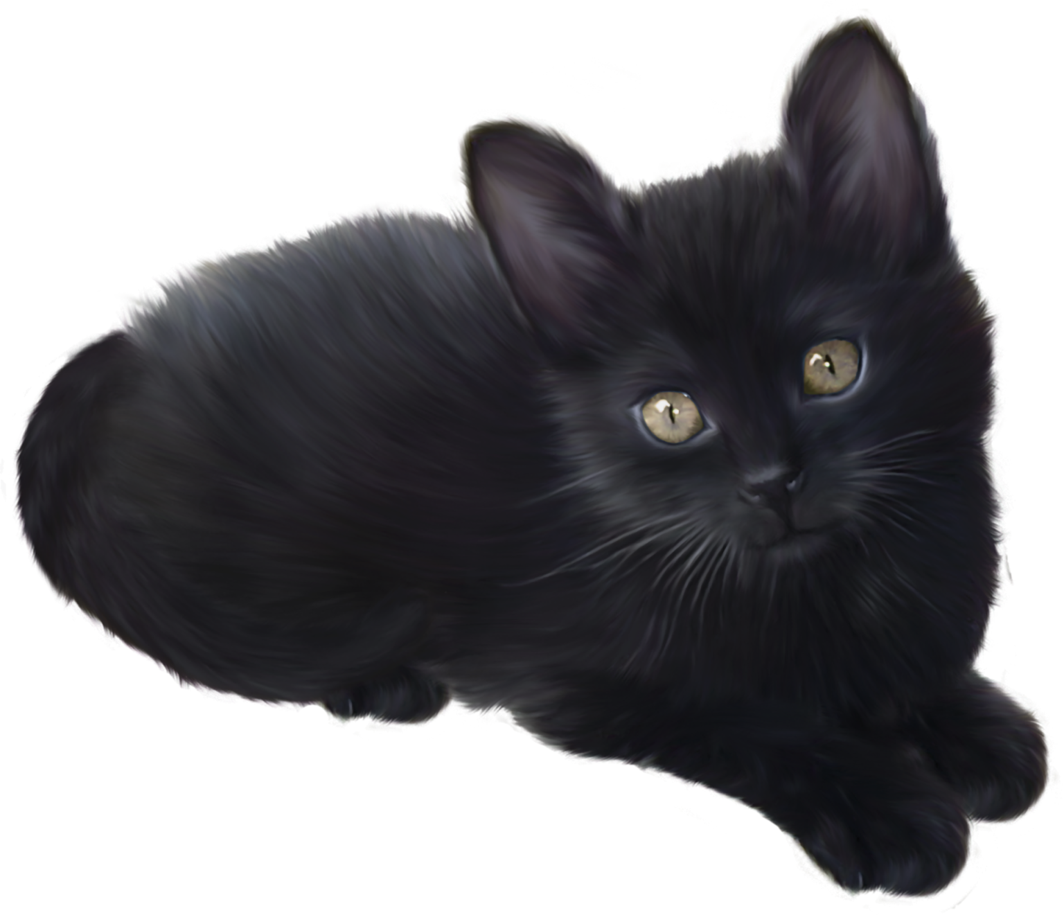 Download Adorable Kitten PNG - Transparent Background, High Quality!