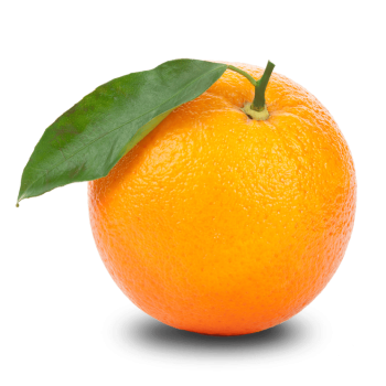 Orange Png