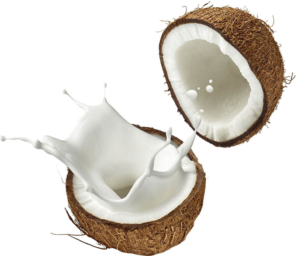 Half Coconut Png Image