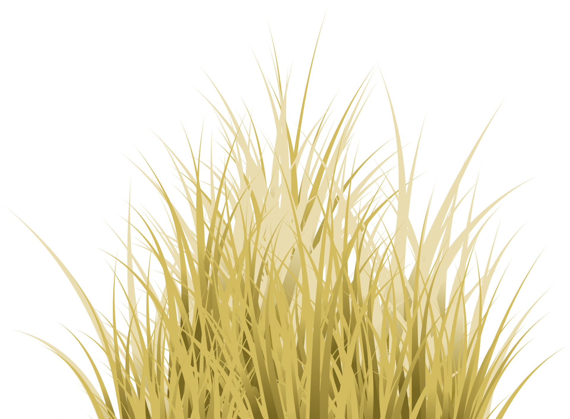 dry-grass-png-6940-download
