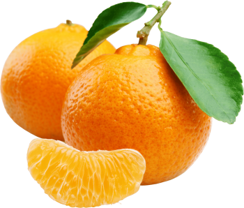 Orange Png