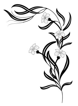 Flower Png Black And White