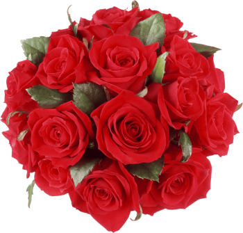Red Flower Bouquet Png