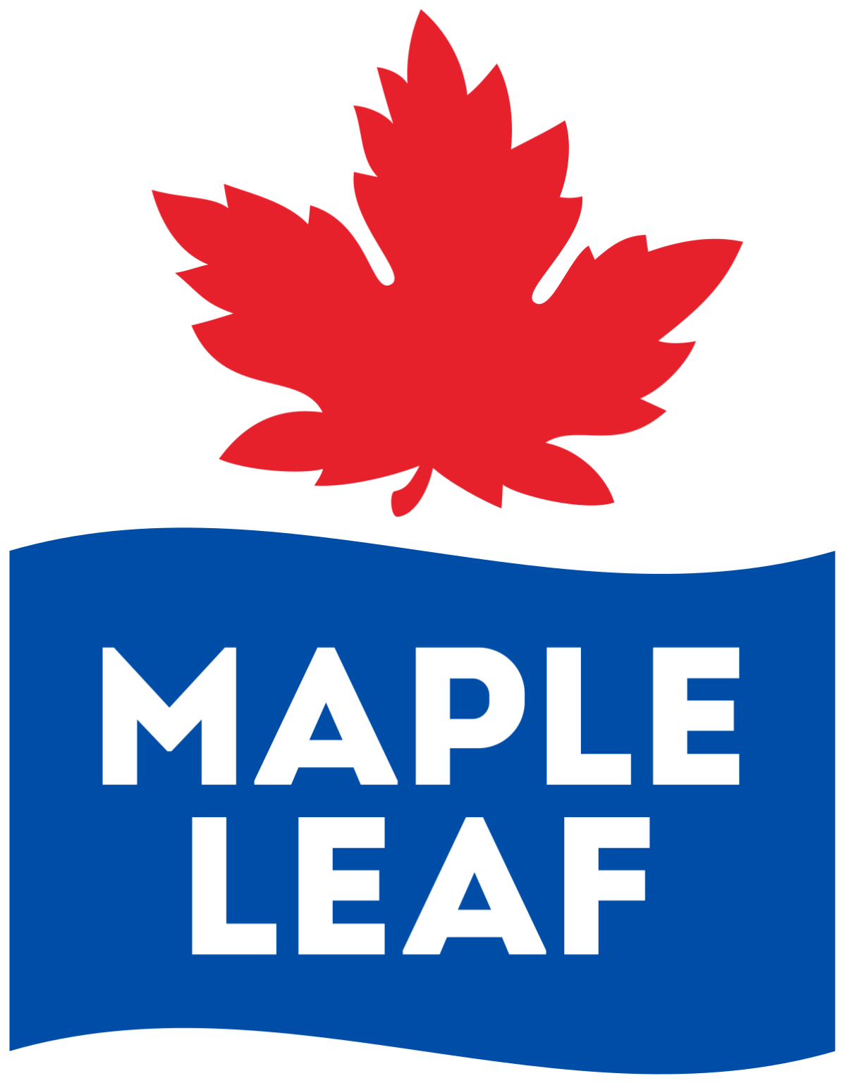 Toronto Maple Leafs Logo PNG Download Transparent & Vector SVG File