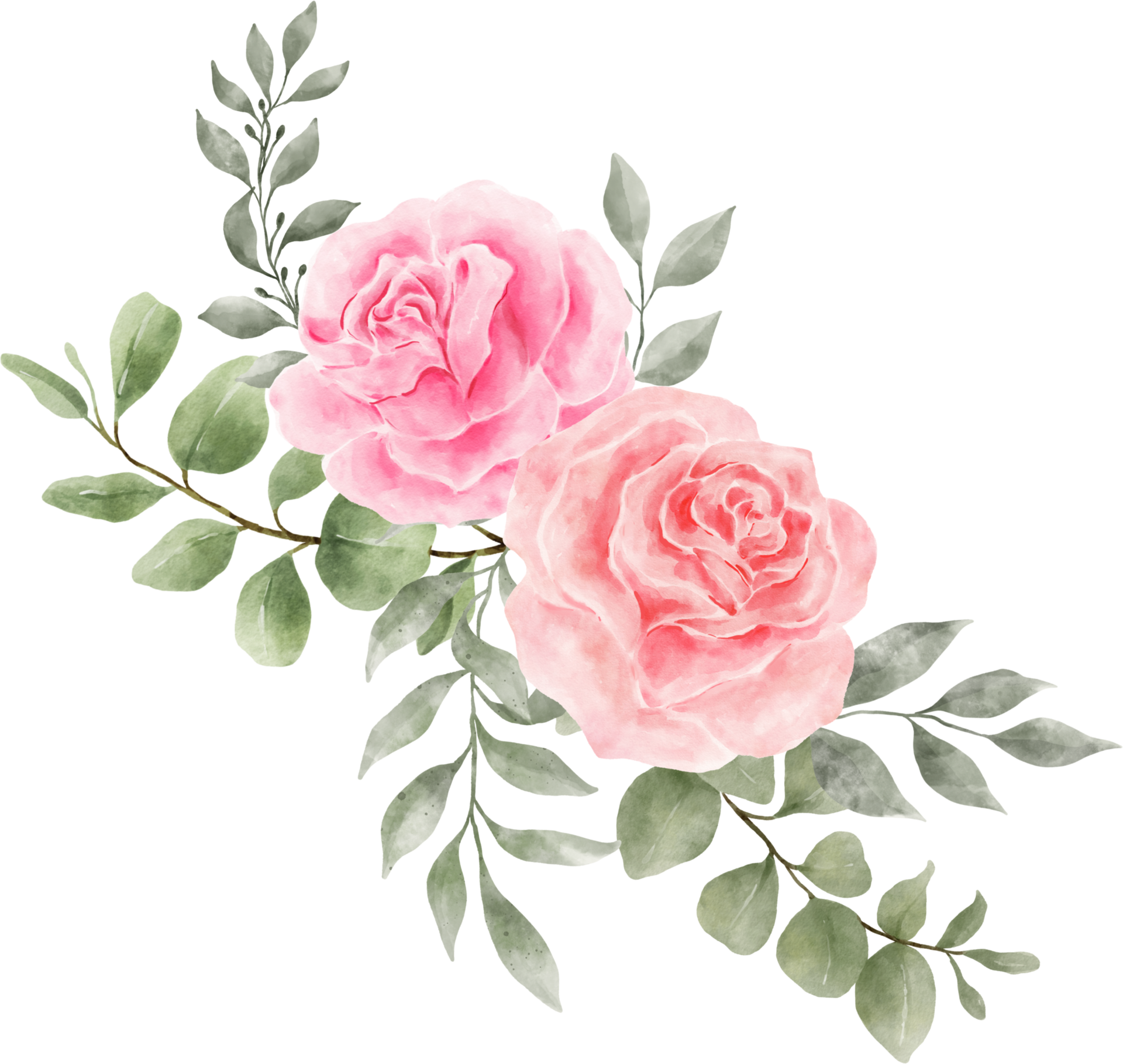 Watercolor roses png - Download Free Png Images